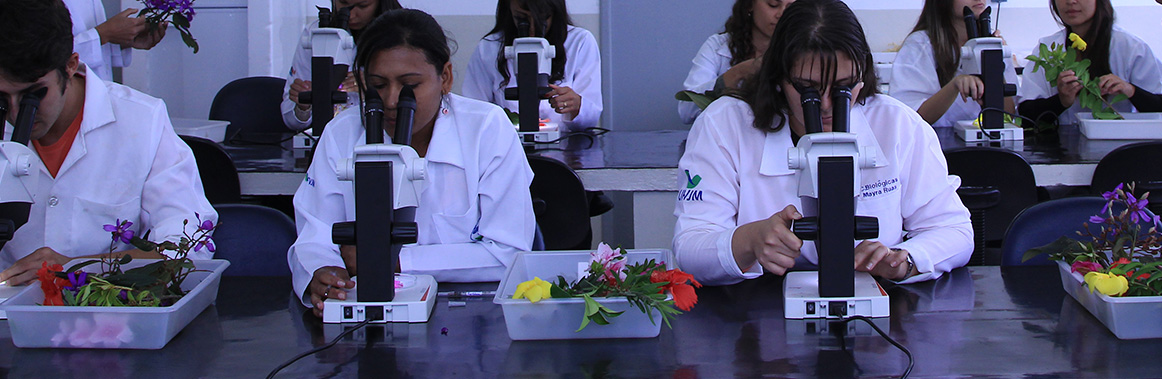 Ciências Biológicas - Bacharelado