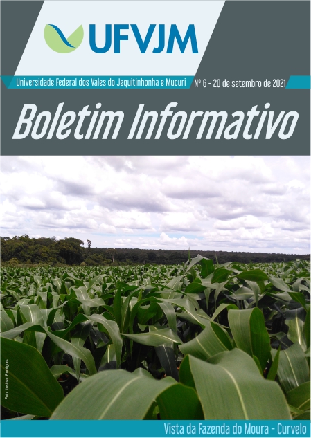Boletim Informativo - Nº 6