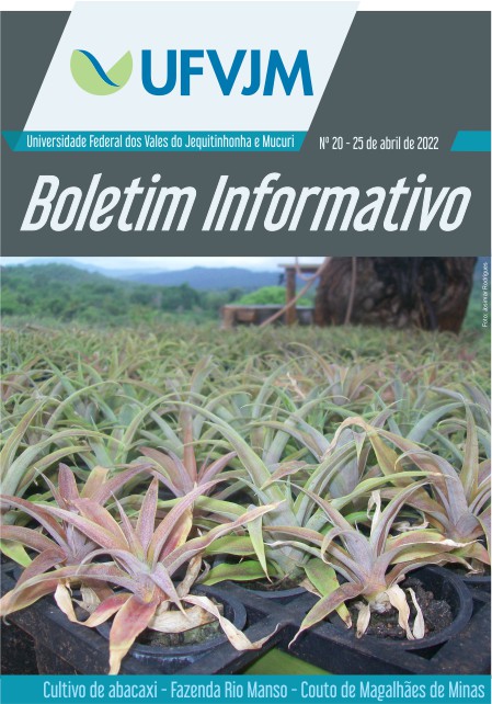 Boletim Informativo - Nº 20