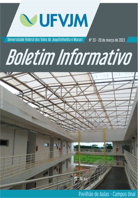 Boletim Informativo - Nº 33