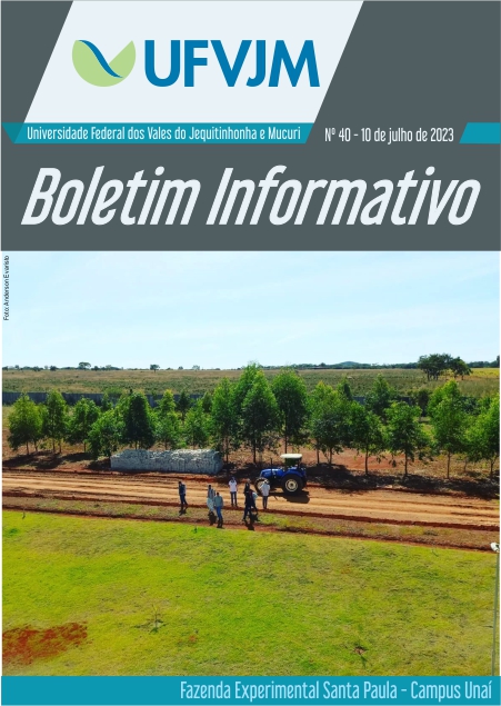 Boletim Informativo - Nº 40