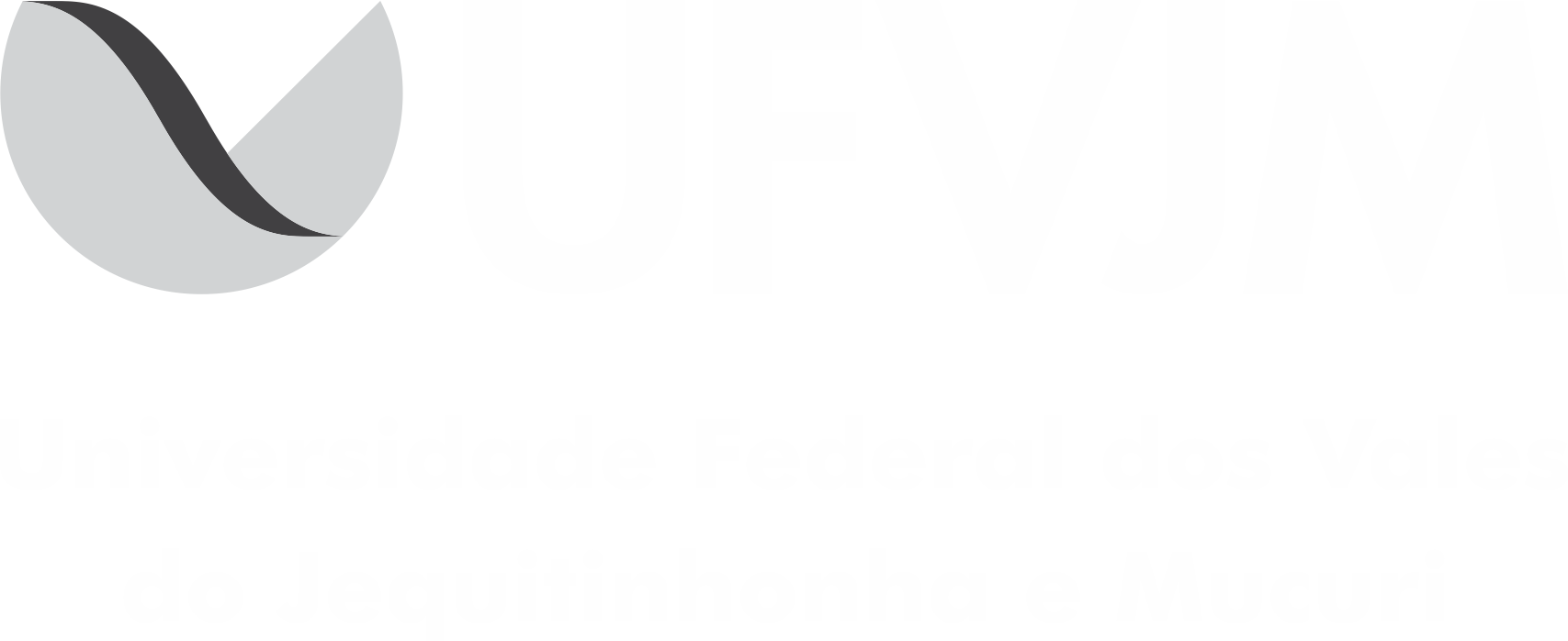 Logo UFVJM - Cinza horizontal com nome.png