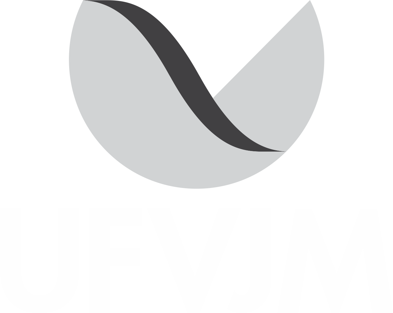 Logo UFVJM - Cinza vertical sem nome.png