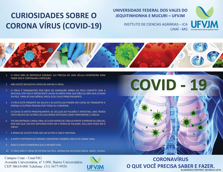 CURIOSIDADES SOBRE O CORONAVÍRUS (COVID-19)