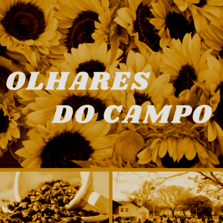 Foto do perfil Olhares do Campo no Facebook
