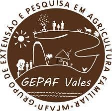 Identidade visual do GEPAF