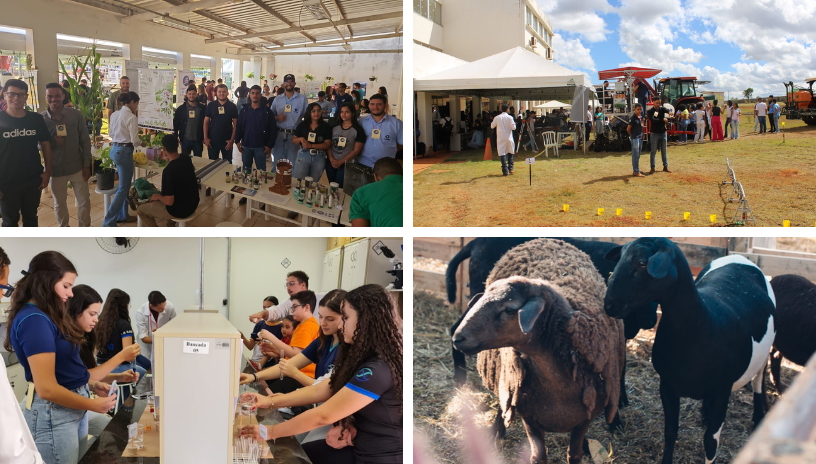 Campus Unaí recebe mais de 1000 visitantes - Imagem 2