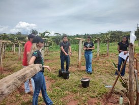 Forragicultura e manejo da adubação são discutidos em Dia de Campo realizado pela UFVJM 03