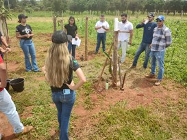 Forragicultura e manejo da adubação são discutidos em Dia de Campo realizado pela UFVJM 04