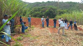 Forragicultura e manejo da adubação são discutidos em Dia de Campo realizado pela UFVJM 05