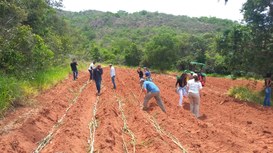 Forragicultura e manejo da adubação são discutidos em Dia de Campo realizado pela UFVJM 06