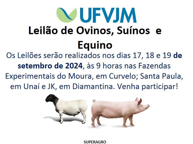 UFVJM realiza leilão de animais vivos 01