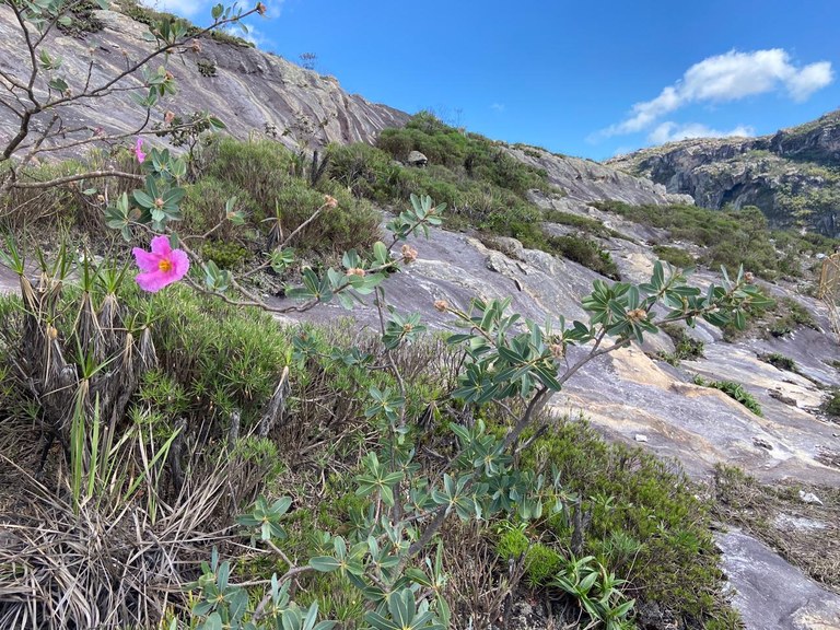 Extração de quartzito na Serra do Espinhaço pode afetar patrimônio natural 01