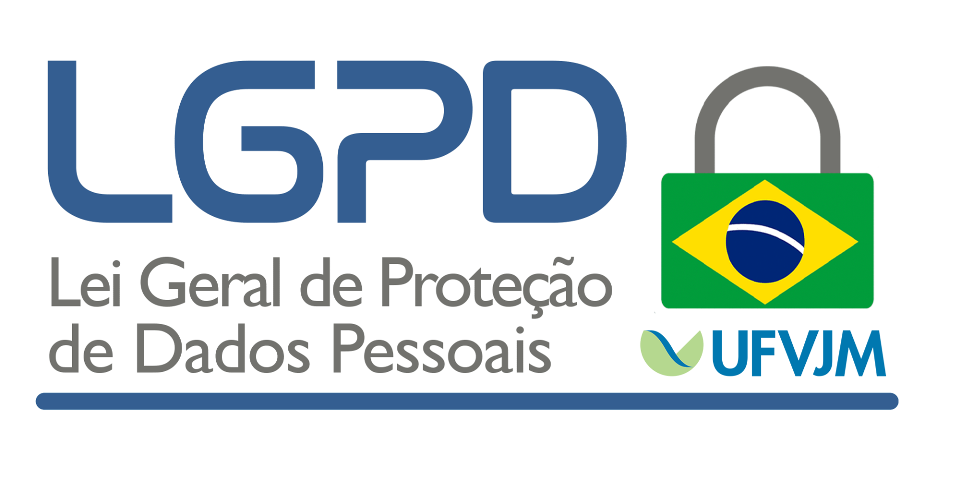 lgpd ufvjm