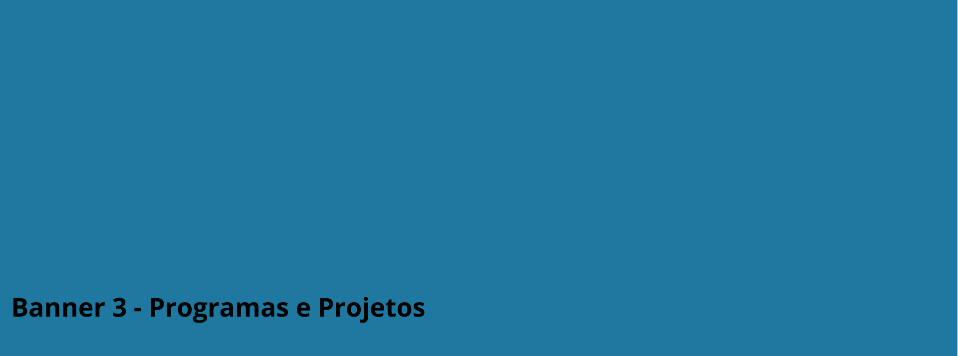Banner 3 - Programas e Projetos