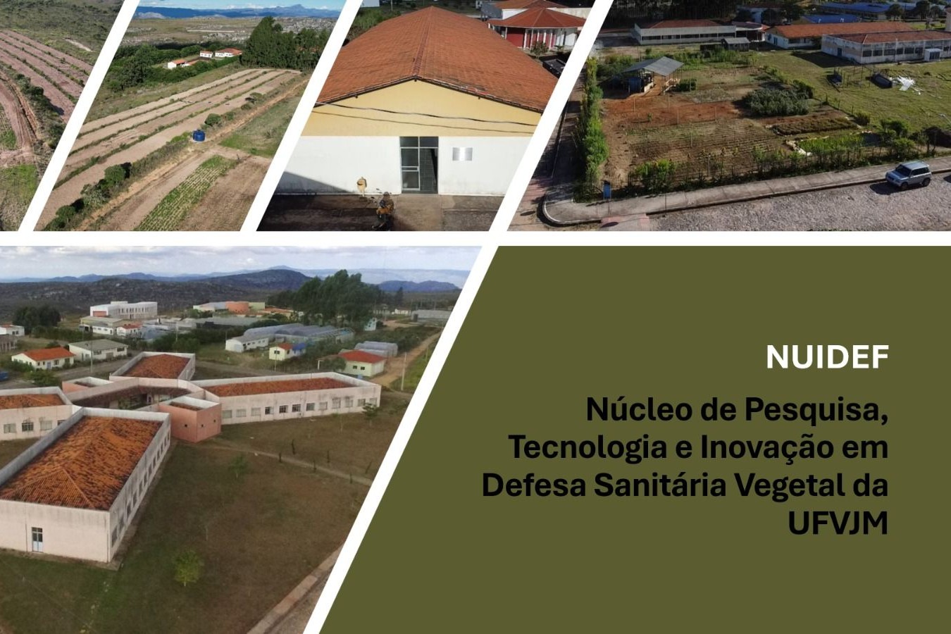 Núcleo de Pesquisa, Tecnologia e Inovação em Defesa Sanitária Vegetal
